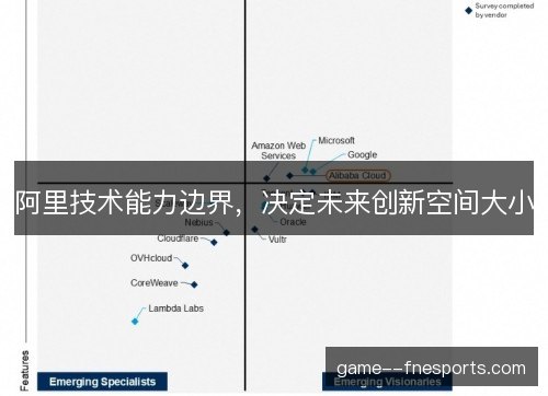 阿里技术能力边界，决定未来创新空间大小
